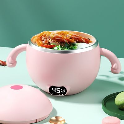 300 میلی لیتر کاسه گرم کننده غذای کودک HW01، برقی قابل حمل، بزرگ، استیل ضد زنگ، گرم کننده ظرف غذای کودک برای مسافرت