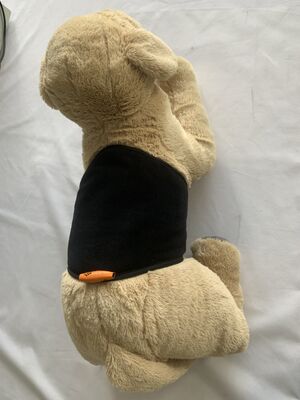 کمربند گرم محل کمربند گرم کمر حیوانات خانگی طراحی شده برای روزانه با پارچه انعطاف پذیر و شارژ USB برای حمایت از کمر حیوانات خانگی و گرما