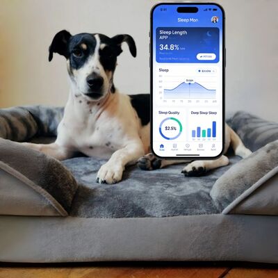 مانیتور بهداشتی تخت خواب خزنده حیوان خانگی هوشمند ردیابی ضربان قلب ضربان تنفس پد خواب کنترل WiFi در فضای باز و ماشین استفاده از تشک حیوان خانگی